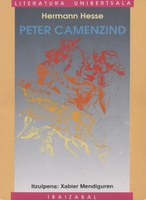 Peter Camezind