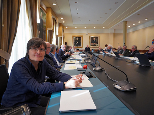 Irene Arrarats, euskaltzain oso